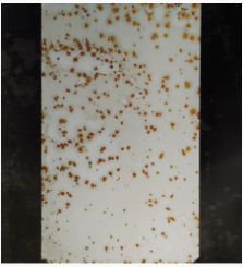 Ϳ���÷��W�P������Щ�N�����οƌWʹ���� Ϳ���ھ�,coatingol.com